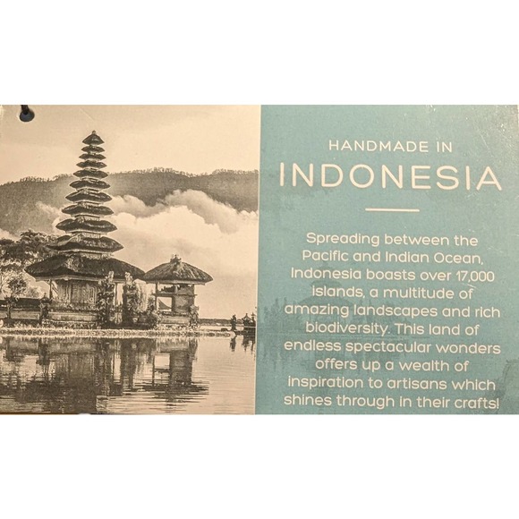 Chameleon Planter - 16" - Picture 7 of 7